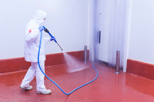 Best Graffiti Removal  in Crane, MO